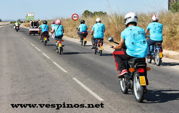 5� Concentraci�n Nacional de Vespinos. Puente la Reina.