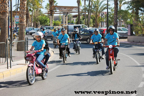 5� Concentraci�n Nacional de Vespinos. Puente la Reina.