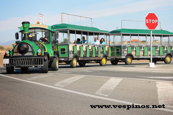 5� Concentraci�n Nacional de Vespinos. Puente la Reina.