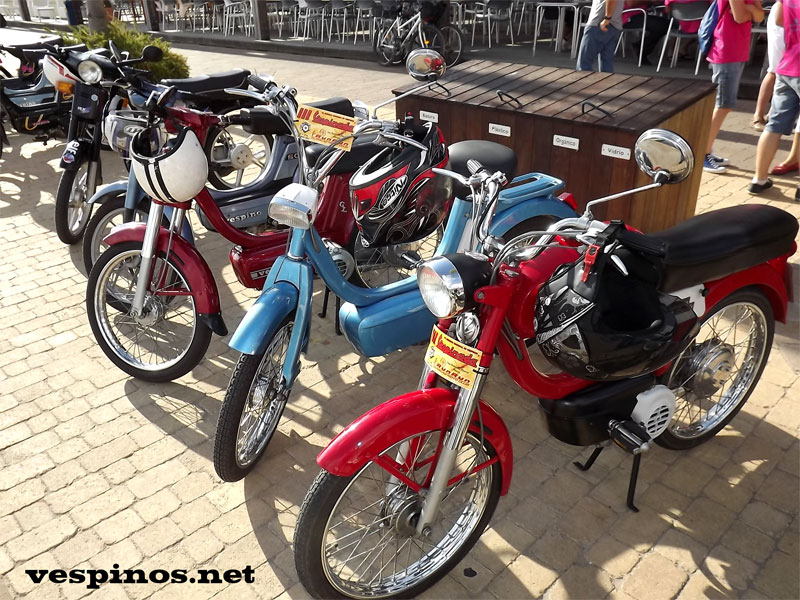 6� CONCENTRACI�N NACIONAL DE VESPINOS Y 2� VESPINADA EN SAN PEDRO DEL PINATAR (MURCIA) 2014